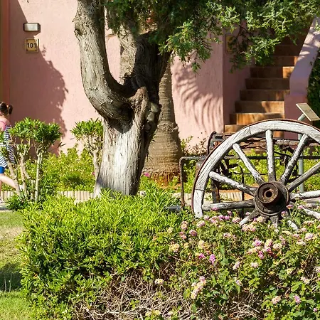 Zorbas Village And Aquapark 4* Hersónissos